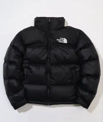 THE NORTH FACE 눕시 자켓