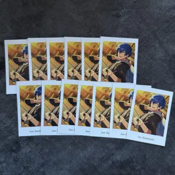 앙스타 파샤츳 vol.5 private 준