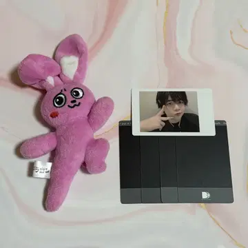 팬더드래곤 나기 나기우사 하피카