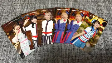 [ GANG PARADE ] 산리오 코스튬 반권