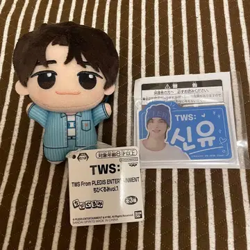 TWS SD 인형 봉제 인형 인형 키링 SHINYU 시뉴