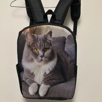 고양이 프린트 럭색 백팩