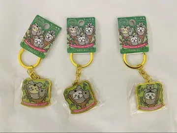 치이카와 키링 호주 케언즈 한정판