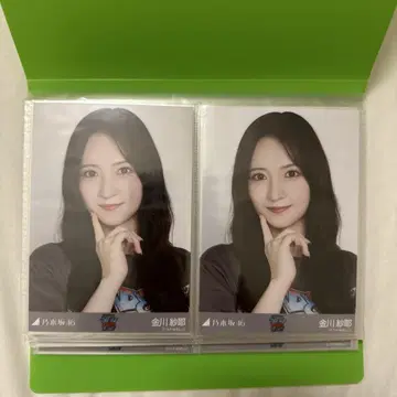 카나카와 사야 브로마이드