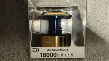 25 솔티가 18000