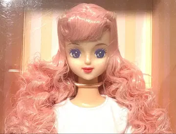 리카짱 캐슬 제니 프렌드 사유리 핑크