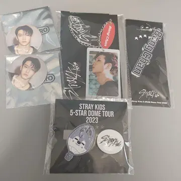 Straykids skz 방찬 굿즈