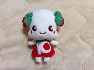 쿠와노미짱 봉제 인형 약 17cm
