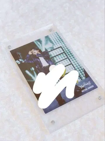 오오모리 모토키 사인 포함 포토 카드