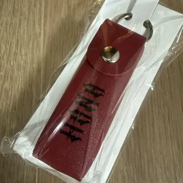 HANA 로고 립 케이스
