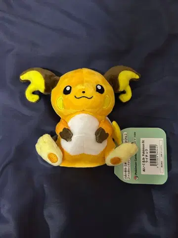 택 포함 새상품 Pokemon fit 라이츄