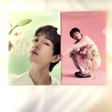 ONEW 온유 SAKU 구매 혜택 클리어 파일 2장 세트