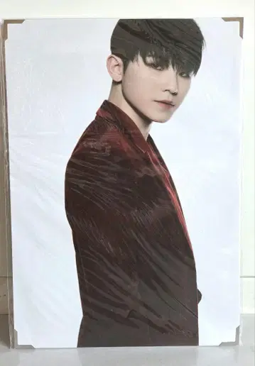 SEVENTEEN 우지 Ruby 프리미엄 사진