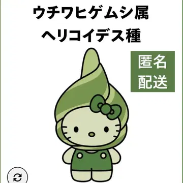 [ 익명 배송 ] 일본관 조류 헬로 키티 핀 배지 우치와히게무시 만박