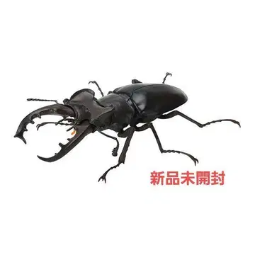 미야마 사슴벌레 개 생물대도감 사슴벌레07 미개봉 새상품
