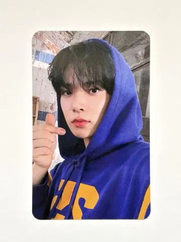 enhypen 히 dilemma shopee 트레이딩 카드