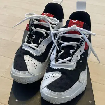 JORDAN DELTA 2 조던 델타 2