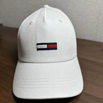 타미진스 캡