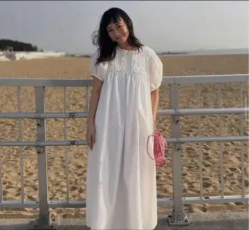미사용 새상품 로지몬스터 AJISAI