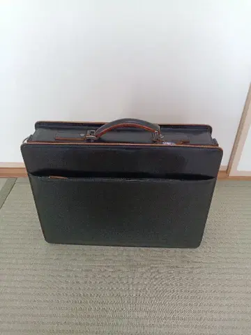 아오키 비즈니스 가방