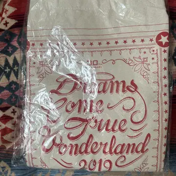 Dreams Come True Wonderland 2019 백 새상품!