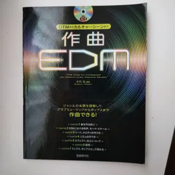 작곡 EDM DTM부터 컬처 신까지