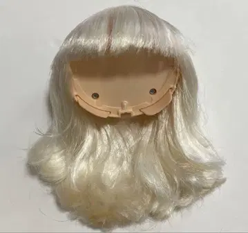 네오 브라이스 [ 비쥬 브릴리언트 ] 두피만