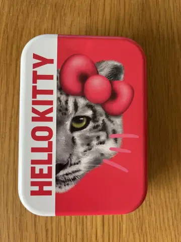 HELLO KITTY 레오파드 무늬 소품함
