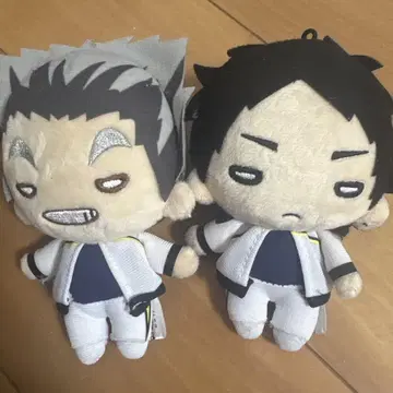 하이큐!! 니토탄 마스코트 보쿠토 & 아카아시 세트 후쿠로다니 저지