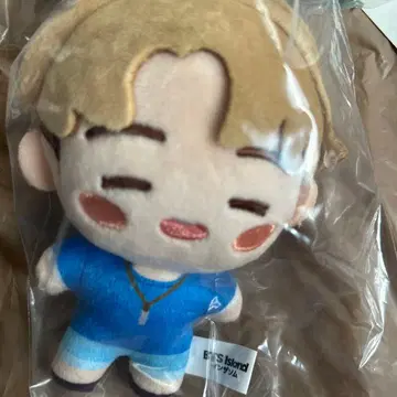 BTS Island 마스코트 참 인더섬