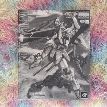 MG 1/100 임펄스 건담 블랑슈