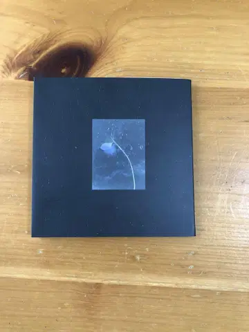시진 심안 은하 CD