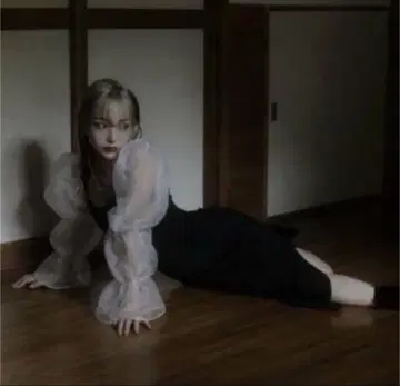 melt the lady 코르셋 스위치드 시어 드레스