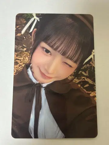 IVE scout 레이 한국 서울콘 트레이딩 카드