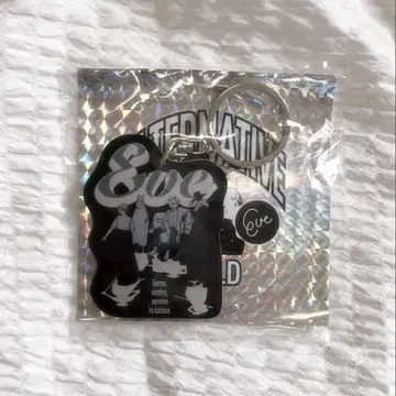 미개봉 새상품 Eve CDJ22/23 키링 & 스티커 세트