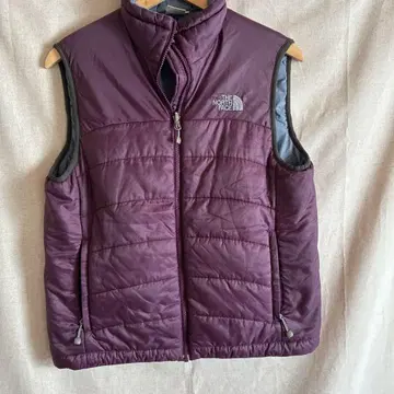 THE NORTH FACE 퍼플 남성용 베스트