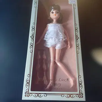포토제닉 리카 데이지
