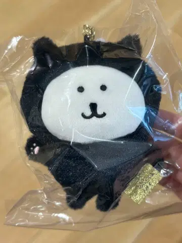 나가노 마켓 검은 고양이 곰 마스코트 나가노 마켓