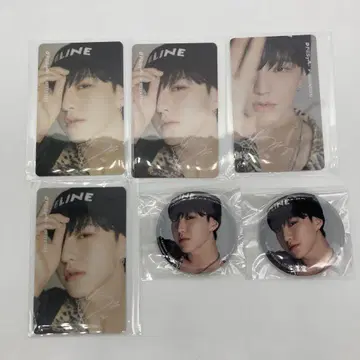 SEVENTEEN 호시 DFESTA 입장 특전 캔뱃지