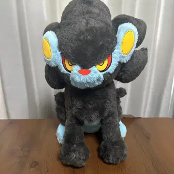 렌트 봉제 인형 MY RENTORAR'S STORY