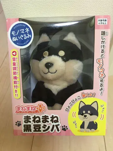 마네마네 블랙콩 시바