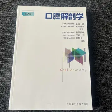 구강 해부학