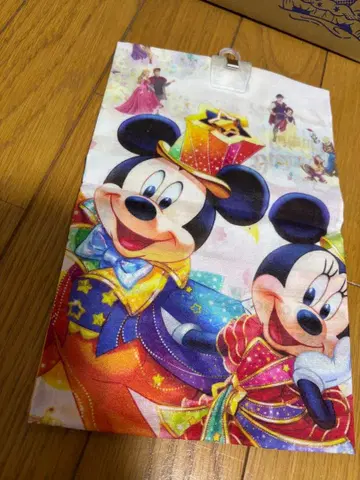 디즈니랜드 퍼레이드 하모니 인 컬러 반다나