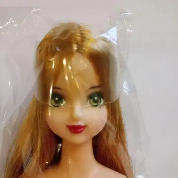 리카짱 캐슬 오타노시미 인형 사야카 아이 인형 나고야 모델 빨간 립