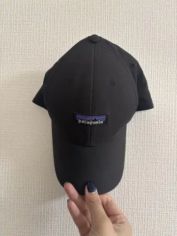 Patagonia 블랙 야구 모자