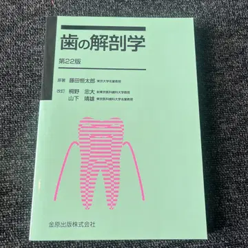 치아 해부학