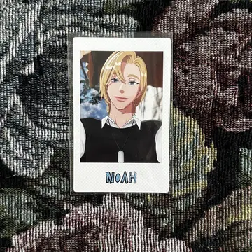 PLAVE 숨바꼭질 인스턴트 포토 카드 노아