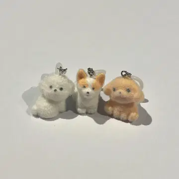 모코푸와 강아지 메지루시 액세서리