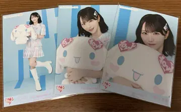 이코럽 브로마이드 노구치 이오리 시나몬 컴프