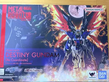 METAL ROBOT혼 데스티니 건담 [Re:Coordinate]